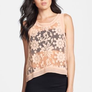 ASTR sheer cropped top